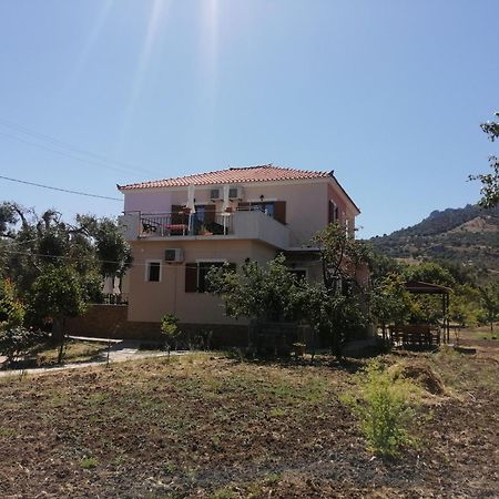 Vassilis Studios Anaxos Buitenkant foto