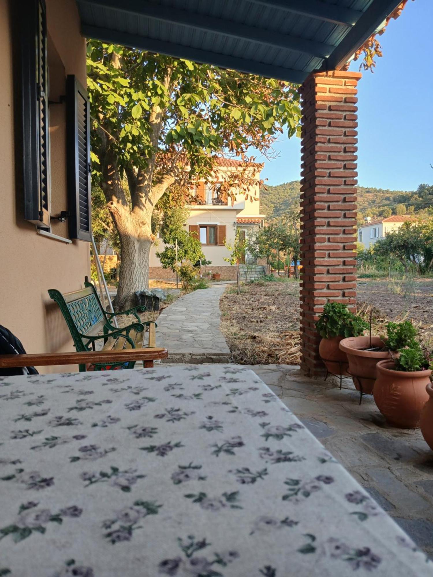 Vassilis Studios Anaxos Buitenkant foto